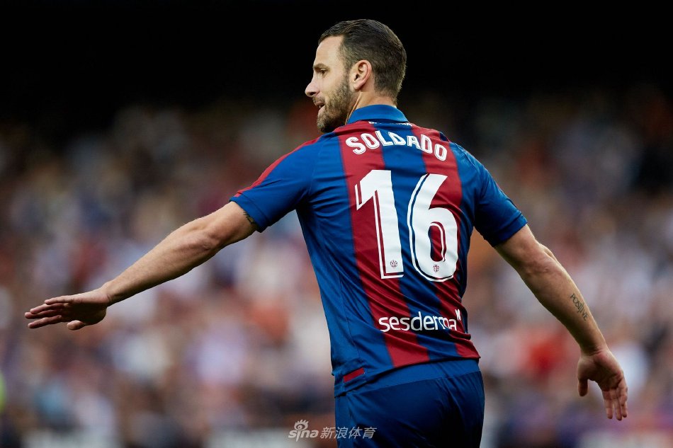 手球迷眼中 手球迷眼中